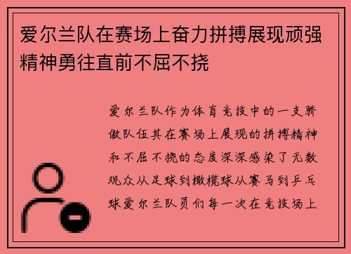 爱尔兰队在赛场上奋力拼搏展现顽强精神勇往直前不屈不挠